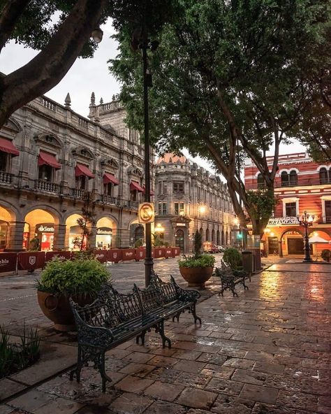 Mexico Houses, Mexican Art Painting, Mexico Pictures, Latin America Travel, Merida Mexico, Living In Mexico, Mexico Culture, Vacation Goals, Dream City