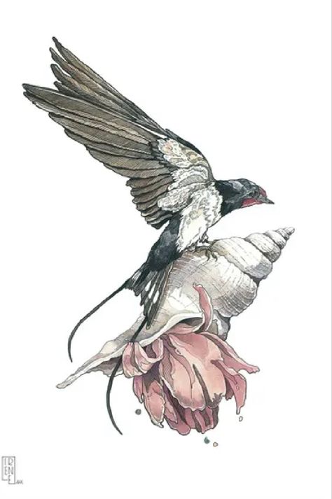 Irene Menicone | Swallow Drawing On Paper, Book Illustration Art, Watercolor Ink, Animal Painting, Art On Paper, Birds Painting, Watercolor And Ink, Acrylic Painting Canvas, Figurative Art