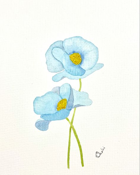 Himalayan blue poppies in watercolour Blue Poppy Drawing, Blue Poppies Watercolor, Himalayan Blue Poppy Tattoo, Poppy Flower Watercolor, Flowers To Paint, Poppy Flower Drawing, Elements Art, Blue Poppies, Poppy Drawing