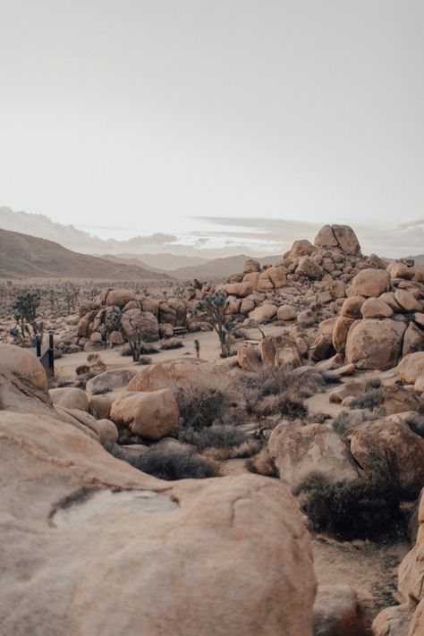 Anakin Skywalker, Boba Fett, In The Desert, Joshua Tree, Pretty Places, Image Hd, Of Wallpaper, The Desert, Land Scape