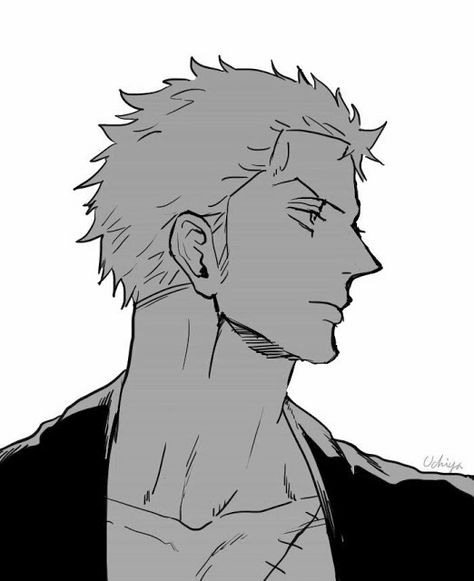 Zoro Zoro Side Profile Draw, Zoro Side Profile, Wan Pīsu, The Good Son, Profile Drawing, Harry Potter Tumblr, One Piece Funny, Zoro One Piece, Standing Poses