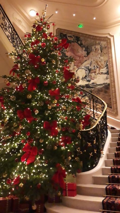 Rich People Christmas, Gold Christmas Aesthetic, Rich Christmas, Red And Gold Christmas Tree, Pretty Christmas Trees, Christmas Dreaming, Cosy Christmas, Christmas Themes Decorations, Christmas Feeling