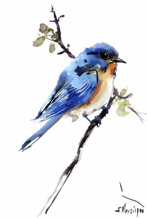 Akvarel Illustration, Tattoo Bird, Bird Watercolor Paintings, Bird Watercolor, Canvas For Beginners, Drawing Faces, 수채화 그림, Urban Sketchers, Easy Watercolor