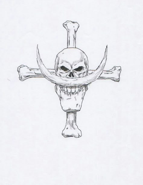 Was thinking of getting this realistic Whitebeard jolly roger on my back thoughts? drawing by u/anti-moniter Whitebeard One Piece Sketch, One Piece Jolly Roger Tattoo, White Beard Tattoo, Whitebeard Tattoo, Whitebeard Jolly Roger, Mihawk Family, Jolly Roger Tattoo, Whitebeard One Piece, One Piece Jolly Roger