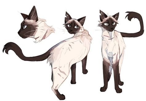 Warriors Cats Ocs, Warriors Oc Ideas, Cat Oc Anthro, Warrior Cat Oc Ideas, Warrior Cats Oc Design, Warrior Cat Art, Warrior Cat Ocs, Cat Oc Art, Sweaters For Cats