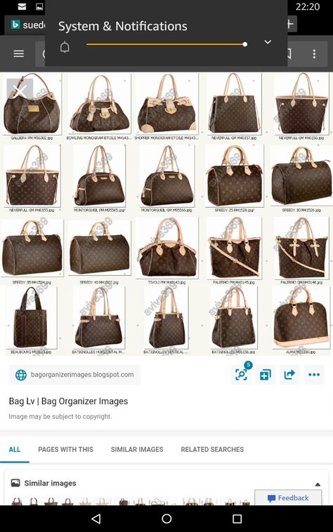 Luxury Bags Collection, Fashion Vocabulary, Luxury Purses, Handbag Heaven, Branded Handbags, Hot Shoes, Handbag Shoes, Louis Vuitton Bag Neverfull, High Fashion Street Style