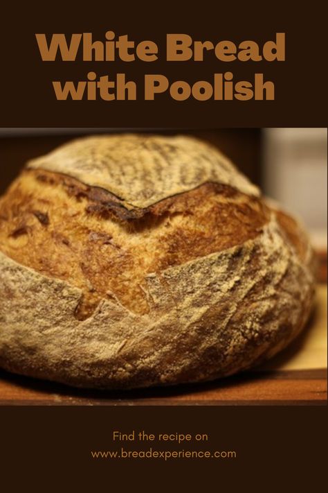 White Bread with Poolish Pin Flour Water Salt Yeast, Artisan Breads, Dutch Oven Bread, Bread Rolls Recipe, White Bread Recipe, Homemade Bread Easy, Bread Roll, Bread Basket, Crusty Bread