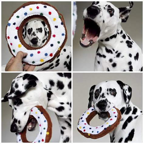 Dog Toy Ideas, Sprinkled Donut, Homemade Dog Toys, Cute Dog Toys, Diy Pet Toys, Pet Diy, Diy Dog Toys, Durable Dog Toys, Dog Diy