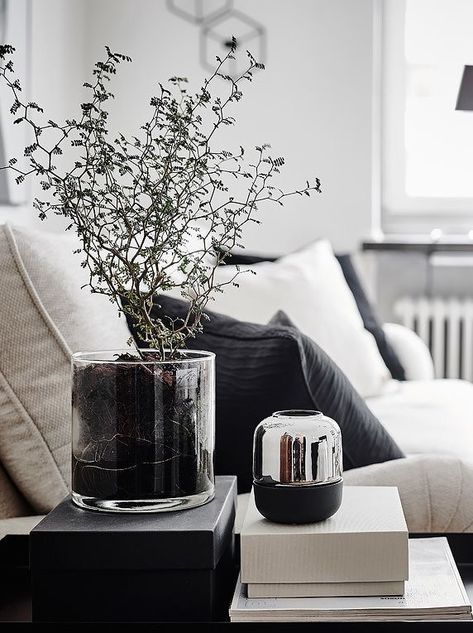 Neutral And Black Home Decor, Hipster Decor, Monochrome Living, Monochrome Living Room, Coastal Living Rooms, Minimalism Interior, Décor Diy, Black Decor, 인테리어 디자인