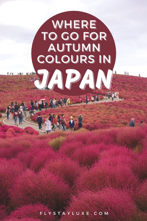 All the best spots to photograph fall foliage around Tokyo, Kyoto, Hakone and more. This travel photography will inspire you to visit Japan in Autumn if only to fill your Instagram feed with amazing photos! | japan in fall autumn leaves | japan in fall travel tips | japan in fall beautiful | Japan in Autumn photography | Japan in Autumn photography Autumn Outfits Aesthetic Japan, Japan Fall Season, Fall Outfit In Japan, Japan In Autumn Aesthetic, Japan Travel November, Tokyo In October, Outfits For Japan Fall, Fall In Japan Aesthetic, October In Japan