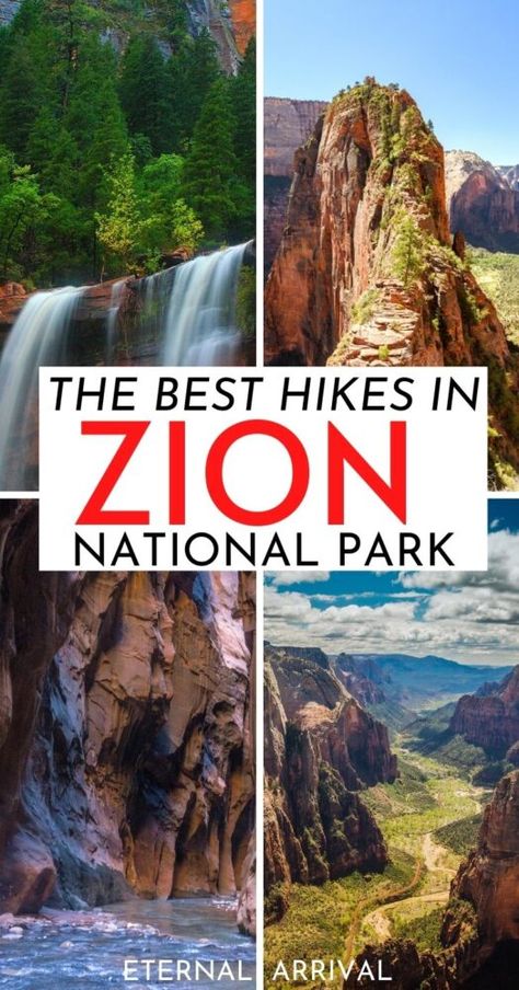 7 Jaw-Dropping Hikes in Zion National Park - Eternal Arrival Hikes In Zion National Park, Zion Hikes, National Park Hikes, Zion National Park Hikes, Hiking The Narrows, Riverside Walk, Virgin River, Zion Canyon, Zion National Park Utah