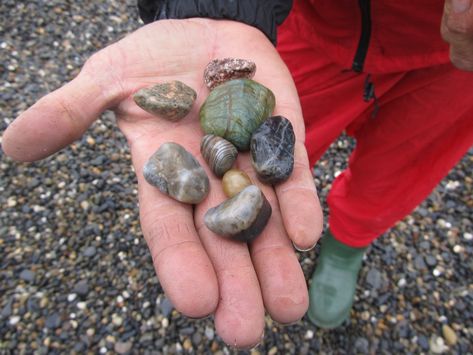 Rockhounding in Alaska: Beautiful Alaska Beach Agates! | Flickr Beach Agates, Alaska Beautiful, Rockhounding California, Alaska Beach, Beach Road Trip, Moonstone Beach, Rock Tumbling, Kenai Peninsula, Mendocino Coast