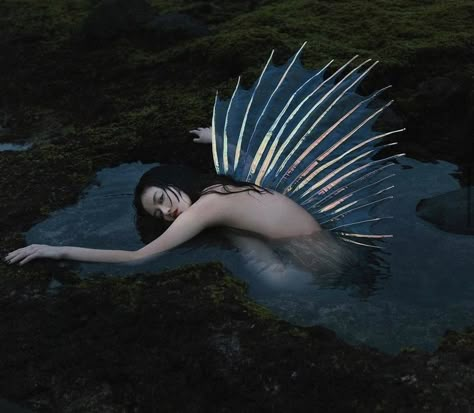 Water Nymphs, Mermaid Aesthetic, Sea Witch, Project 365, Shooting Photo, 인물 사진, Sirens, Photography Inspo, Art Blog