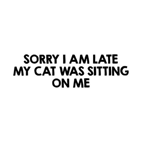 Cat Person Quotes, Dorian Aesthetic, Funny Cat Captions, Cat Captions, Cat Lover Quote, Coffee Instagram, Movie Quote, Cat Quotes, Cat Person