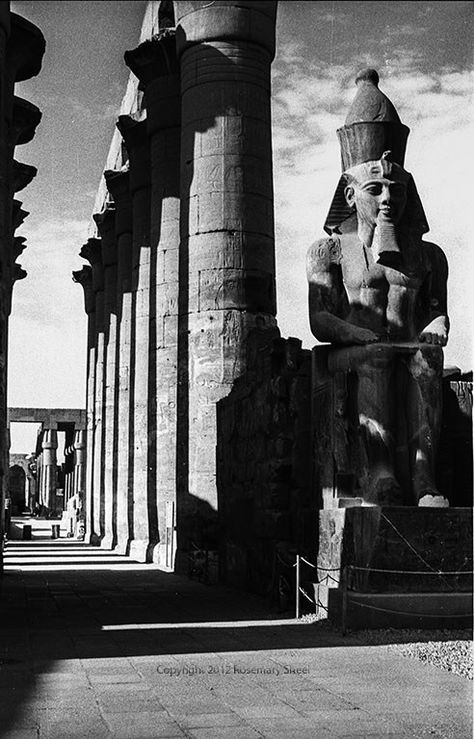 Luxor Temple with satue of sitting Ramses Contrast Photos, High Contrast Photos, Luxor Temple, Photos Travel, Black And White Photos, Trevi Fountain, White Photos, Past And Present, High Contrast