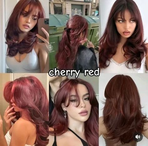 Cherry red hair Check out our hair color board for more hair color ideas and hair color inspiration comment and follow for Bangs Hair Dye, Red Cherry Hair, Red Wine Hair, Cabello Aesthetic, Cherry Brown Hair, Style For Hair, Mas Outfits, Cherry Hair Colors, Evan Buckley