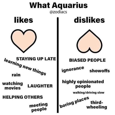 Flakey People, Soft Energy, Aquarius Aesthetic, Aquarius Truths, Aquarius Life, First Meet, Aquarius Quotes, Aquarius Horoscope, Likes And Dislikes