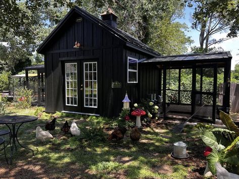 Chicken Coop Ideas & Everything Backyard Chicken | I promised a lot of you I would share more photos of my entire chicken/duck coop | Facebook Luxurious Chicken Coop, Sunflower Chicken Coop, Moody Chicken Coop, Goth Chicken Coop, Gothic Chicken Coop, Goth Homestead, Black Chicken Coop, Chicken Coop Interior Ideas, Chicken Duck Coop