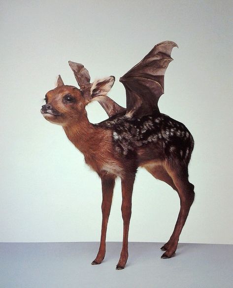 Taxidermy Art, Vulture Culture, Art Ancien, Incubus, Foto Art, Six Feet Under, Baby Deer, Weird And Wonderful, An Animal