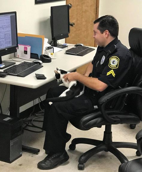 A black and white kitty sauntered into a police station and decided to take selfies with his human friends.Meet Kingsley!Columbia Police Department, SCThis confident little feline found his way into the Columbia Police Department in Columbia, South Carolina in September and started demanding snuggle... Black And White Kitty, Columbia South Carolina, Video Call With Boyfriend Screen Photo, Green Planet, Taking Selfies, Police Station, Stray Cat, Police Department, Selfie Poses