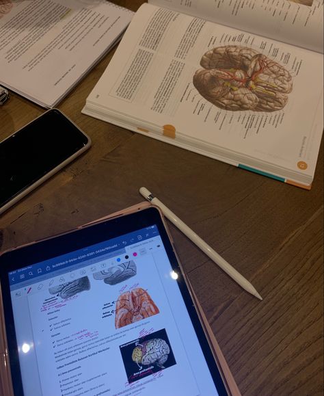 studying neuroanatomy on atlas and ipad School Ipad, Med School, Medical Students, Ipad Cover, Study Motivation, Ipad, Medical, Quick Saves