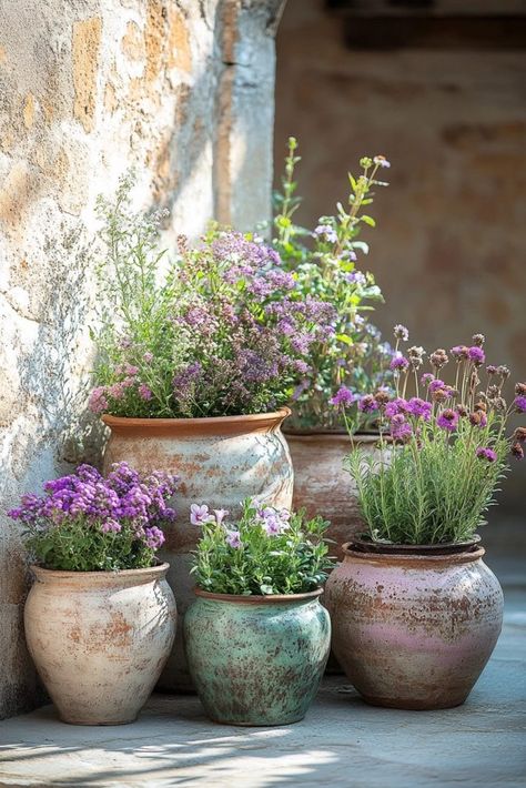 Antique Flower Pots, How To Arrange Pots In Garden, Flower Pot Indoor Ideas, Vintage Planter Ideas, Plant Pot Arrangements, Pots Of Flowers, Vintage Backyard, Garden Chairs Metal, Garden Displays