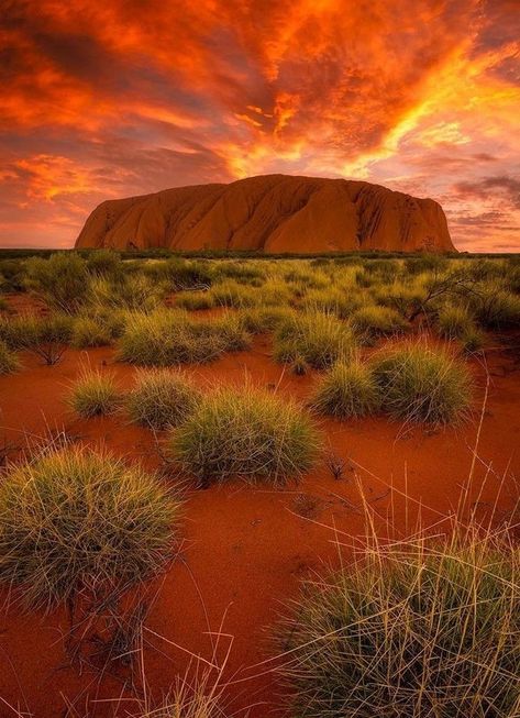 Ayers Rock Australia, Yarn Ideas, Only Aesthetic, Ayers Rock, Australia Photos, Outback Australia, Australian Travel, Breathtaking Places, Incredible Places