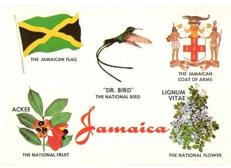 National Symbols of Jamaica - The Jamaican Symbols and Emblems Jamaican Tattoos, Jamaica Culture, Jamaica History, Jamaican Flag, Jamaican Culture, World Thinking Day, Girl Scout Ideas, National Heroes, National Symbols