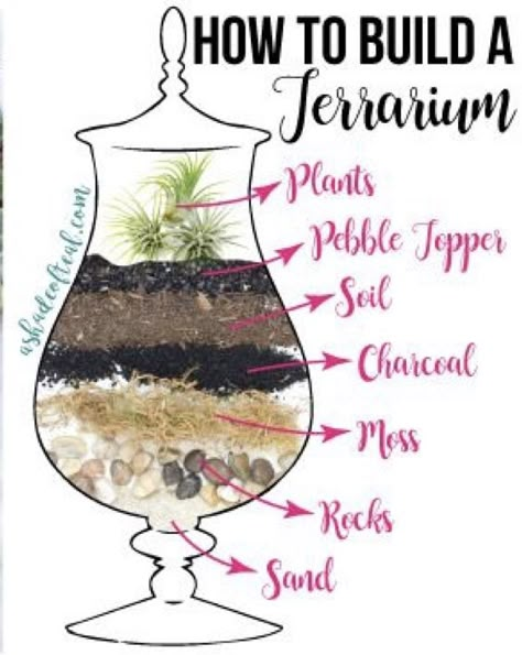 Plant Ideas Indoor, Best Terrarium Plants, Indoor Plant Ideas, Closed Terrarium Plants, Build A Terrarium, Diy Succulent Terrarium, Beautiful Terrariums, Succulent Garden Design, Mini Terrarium