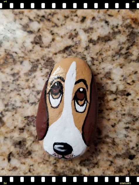 Rock Painting Dogs Ideas, Dachshund Rock Painting, Puppy Painted Rocks, Dog Rock Art Ideas, Dog Stone Art, Dog Stone Painting, Painted Rocks Dogs Easy, Rock Painting Dogs Easy, Rock Art Dog