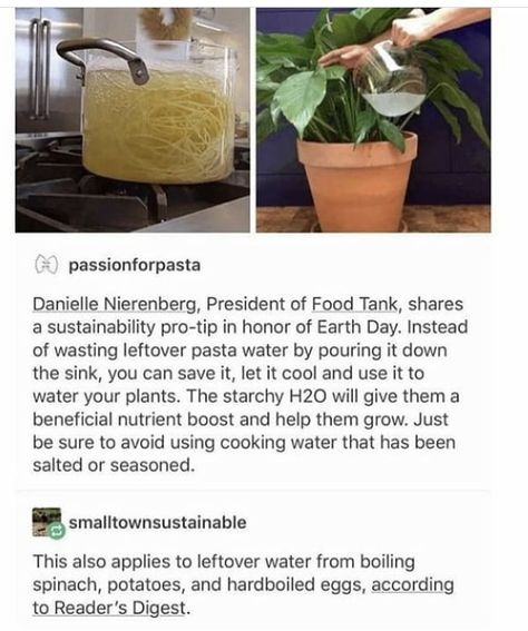 Pasta Water, Plant Mom, Save Earth, Plant Lady, Useful Life Hacks, Dream Garden, Plant Life, Sustainable Living, Indoor Garden