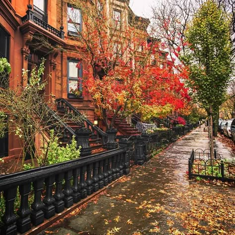 Autumn, Brooklyn, New York City Taylors Albums, October Rust, Autumn In New York, Chrysler Building, Background Ideas, Pink Nation, Autumn Scenes, Saved Pins, City Street