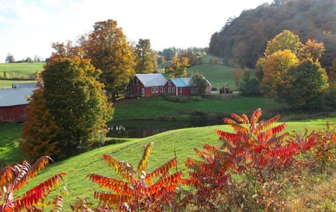 The Jenne Farm Is The Most Photographed Farm In Vermont England Trip, Photography School, Grand Central Terminal, 60 Years Ago, School Photography, Winding Road, Before Sunrise, The Spot, Magazine Covers