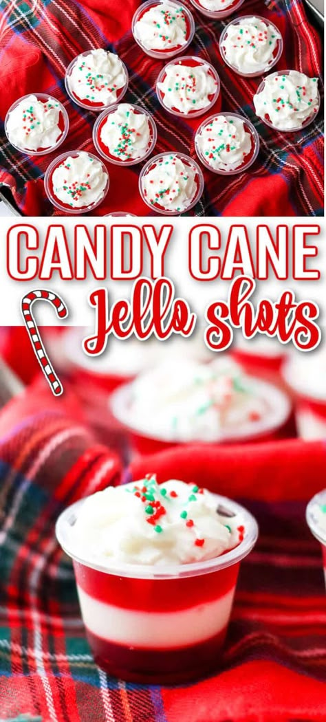 Holiday Jello Shots, Winter Party Foods, Christmas Vodka, Making Jello Shots, Jello Shots Recipe, Peppermint Vodka, How To Make Jello, Shooter Recipes, Love Bakes Good Cakes