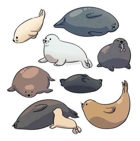 I wanna touch a seal so bad 🥺🖤🦭🙌🏼 I love seals ☺️ Sea Lion Art, Sea Creatures Art, Lion Drawing, Cute Seals, A Seal, Puppies And Kitties, Silly Animals, Sea Lion, Cute Chibi