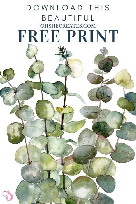 Download this gorgeous print in moments. Update your room easily with this 8x10 print for FREE. Botanical Prints Free, Botanical Printables, Free Vintage Printables, Free Printable Wall Art, Free Printable Art, Free Print, Botanical Watercolor, Printable Image, Vintage Printables