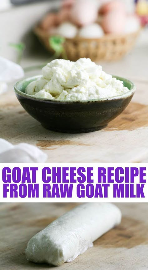 Making Goat Cheese, Make Goat Cheese, Chevre Cheese, Raw Goat Milk, Cheese Recipes Homemade, Cheese Making Recipes, Goat Milk Recipes, Cheese At Home, Goat Recipes