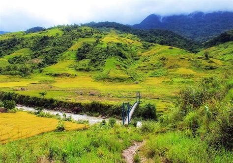 Yellow season in Kon Tum Province Kon Tum, Stilt Houses, Stay Overnight, Harvest Season, Nature Reserve, Laos, The Locals, Travel Blogger, Yellow