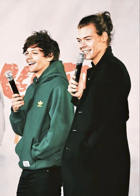 larry stylinson louis tomlinson harry styles one direction orlando interview q&a 2014 1d universal studio Wallpaper One Direction, One Direction Wallpaper, One Direction Harry Styles, One Direction Photos, One Direction Harry, Louis And Harry, One Direction Pictures, James Horan, Mr Style