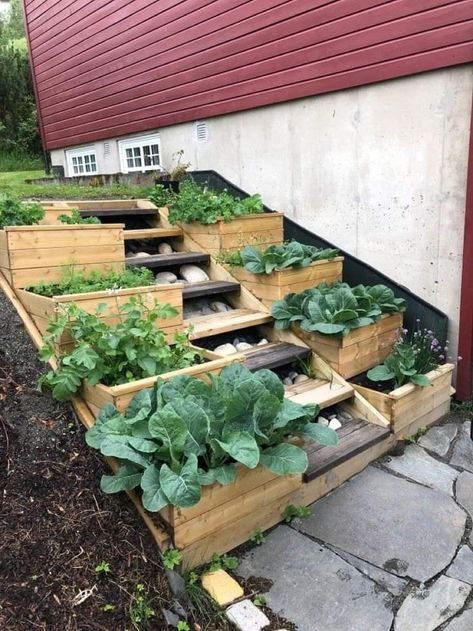 Raised Beds On A Slope, Backyard Planters, Raised Garden Beds Diy Vegetables, Raised Bed Gardening, Sloped Backyard Landscaping, Hillside Garden, Sloped Backyard, Tiered Garden, Sloped Garden