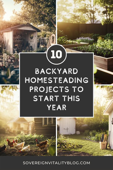 Backyard homesteading is perfect for creating a self-sufficient lifestyle, even in urban areas. Explore 10 easy DIY homestead projects that beginners can start today. From building a raised garden bed to creating an urban homestead design, these ideas transform any city backyard into a productive space. Homesteading Projects, City Backyard, Backyard Homesteading, Homestead Projects, Homestead Design, Urban Homestead, Rainwater Harvesting System, Homesteading Ideas, Building A Raised Garden