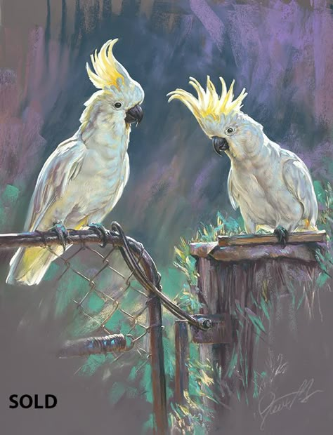 Cockatoo Painting, Bird Artists, Parrots Art, Australian Wildlife, Bird Paintings, Abstract Art Wallpaper, Australian Birds, Wildlife Artists, Art Painting Gallery