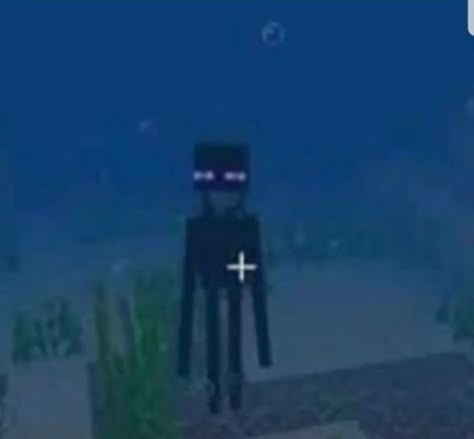 Cute Minecraft Pfp, Enderman Pfp, Pfp Minecraft, Minecraft Pfp, Minecraft Images, Minecraft Pictures, Minecraft Mobs, 밈 유머, Minecraft Wallpaper