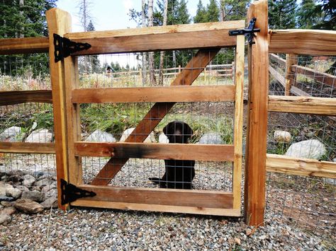 Split Rail Fence Gate, Diy Dog Fence, Wood Fence Gates, Swiss Cottage, Split Rail Fence, Diy Fence, Front Yard Fence, Rail Fence, Farm Fence