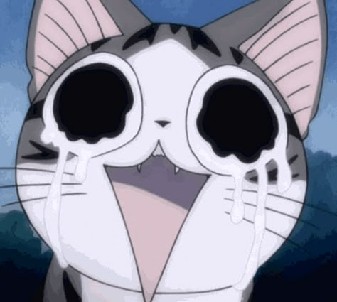 New trending GIF on Giphy. happy crying tears chis sweet home happy crying. Follow Me CooliPhone6Case on Twitter Facebook Google Instagram LinkedIn Blogger Tumblr Youtube Chi The Cat, Chi's Sweet Home, Happy Crying, Crying Tears, Anime Cat, Kittens, Sweet Home, Gif, Kitty