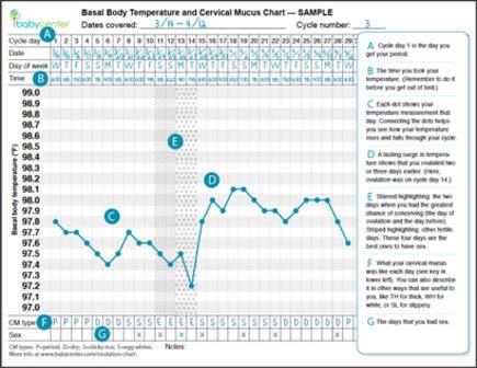 Ladies who chart, I urge you to look into a decline in your temps after ovulation (during the luteal phase. This can be a sign of low progesterone. You NEED progesterone to maintain a pregnancy. I wish I would have known about this before my loss but I'm hoping I can help other's from going through the same experience. Basal Body Temperature Chart, Bbt Chart, Menstrual Calendar, Ovulation Tracking, Basal Body Temperature, Pregnancy Timeline, Temperature Chart, Cervical Mucus, Fluid And Electrolytes