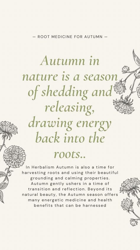 Autumn Spiritual, Autumn Wellness, Autumn Herbs, Pilates Retreat, Living Seasonally, Autumn Yoga, Witchy Autumn, Autumn Reflections, Yoga Themes