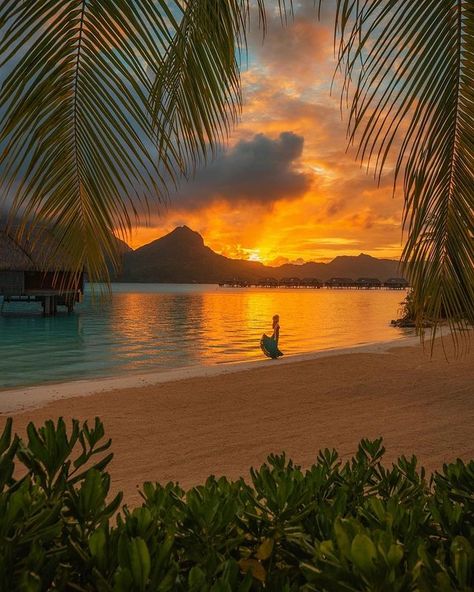 All Posts • Instagram Trip To Bora Bora, Four Seasons Bora Bora, Bora Bora Honeymoon, Bora Bora Resorts, Bora Bora French Polynesia, Travel Project, Beach At Night, Dream Travel Destinations, Bora Bora