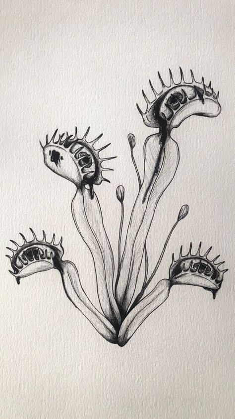 Horror Flower Drawing, Eye Plant Drawing, Weird Nature Tattoos, Creepy Garden Tattoo, Scary Flower Tattoo, Creepy Nature Tattoo, Scientific Illustration Tattoo, Tattoo Beetle, Strange Drawings