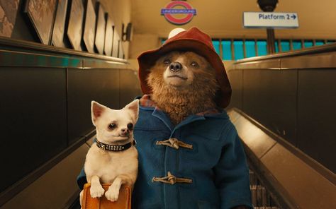 Love the Dog Paddington Film, Oso Paddington, Perang Dunia Ii, Hugh Bonneville, Julie Walters, Ben Whishaw, Good Movies On Netflix, Christopher Plummer, Dan Stevens